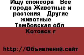 Ищу спонсора - Все города Животные и растения » Другие животные   . Тамбовская обл.,Котовск г.